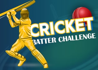 Cricket Batter Challenge