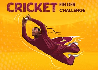 Cricket Fielder Challenge