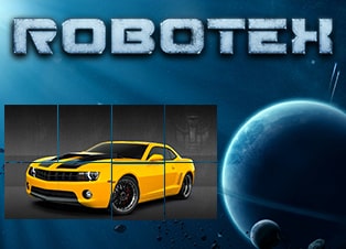 Robotex	             
